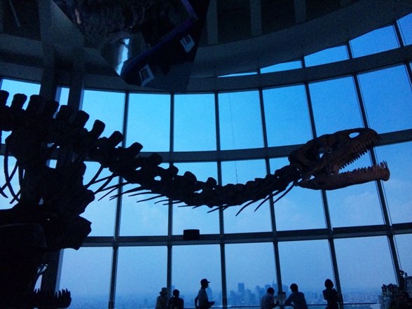 恐竜展100721_1.jpg